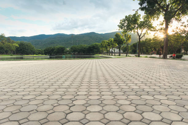 Best Custom Driveway Pavers  in Maquoketa, IA